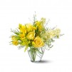 The Delicate Yellow